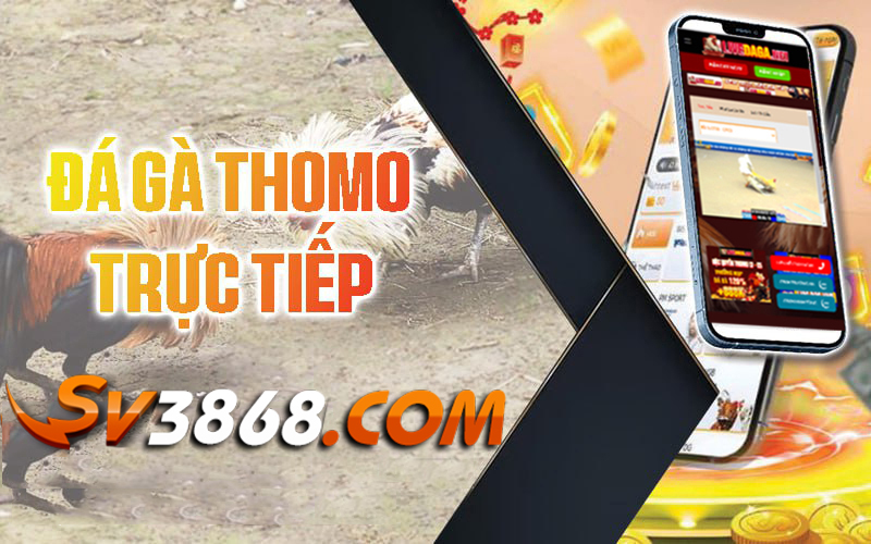 Truc-tiep-da-ga-sv3868-Truc-tiep-Thomo-hang-ngay