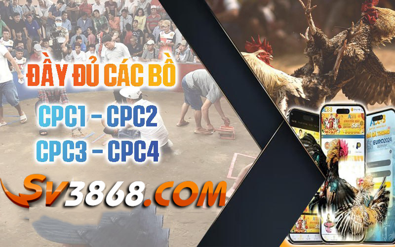 Truc-tiep-day-du-cac-bo-ga-sv3868